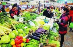 廣州農副產品配送最近菠菜5塊一斤！西安綠葉菜價格下降明顯